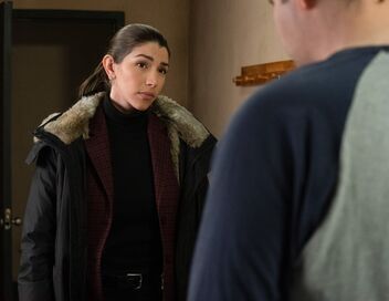 New York Unité Spéciale