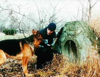 Rex, chien flic