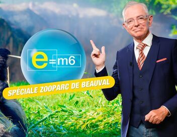E=M6