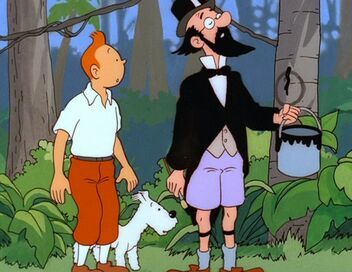 Les aventures de Tintin