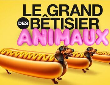 Le grand bêtisier des animaux