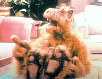 Alf