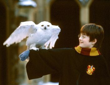 Harry Potter à l'école des sorciers