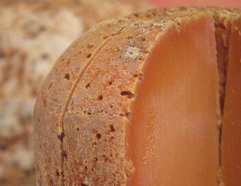 Les fromages du Nord gardent le cap