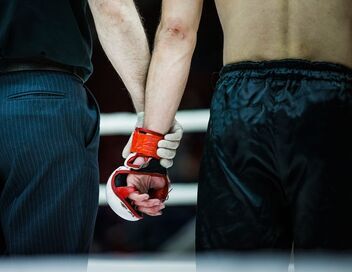 MMA : UFC Classiques