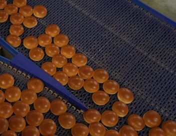 Inside Burger King : dans les coulisses d'un géant de la restauration rapide