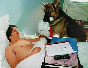 Rex, chien flic