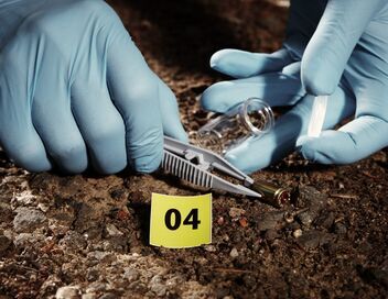 Au bout de l'enquête, la fin du crime parfait ?