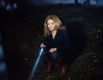 Alice Nevers