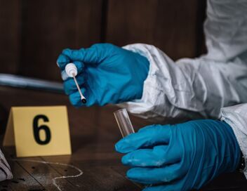 Chroniques criminelles