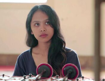 Java, la magie du théâtre d'ombres