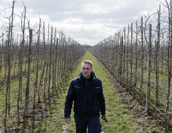 L'Altes Land : au coeur des vergers et des anciens marais