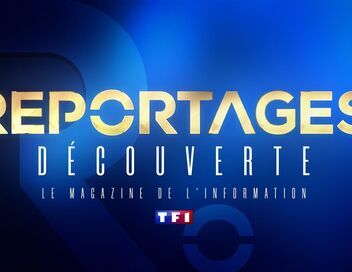 Reportages découverte