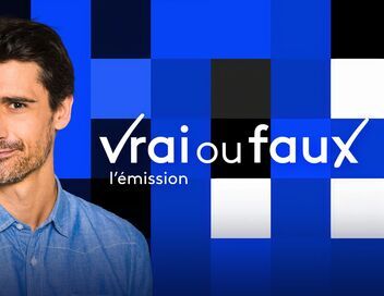 Vrai ou faux, l'émission