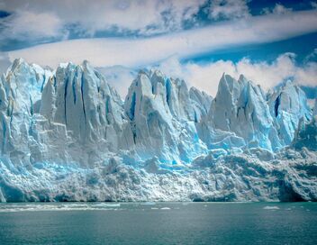 Une année sauvage autour de la Terre