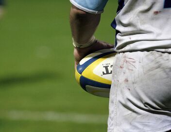 Rugby à 7 : Seven Nations Series