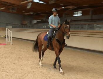 Au galop ! Une saison à cheval