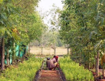 Invitation au voyage