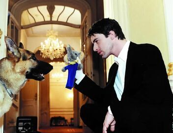 Rex, chien flic