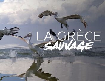 La Grèce sauvage