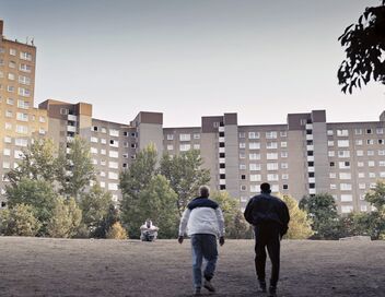 Toubab : Pour le meilleur et pour le pire