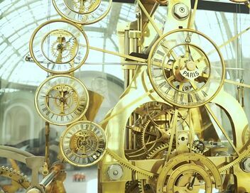 Des racines et des ailes