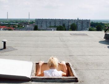 Une femme sur le toit