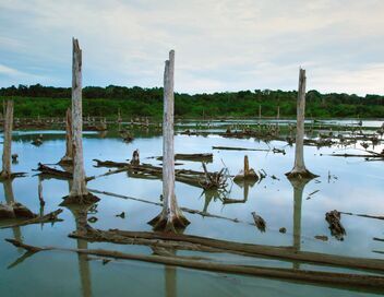 Les îles Nicobar, renaissance d'un archipel