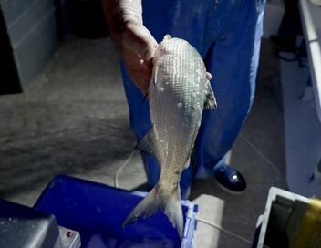 Tous fondus de cuisine savoyarde !