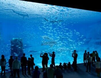 Nausicaá, le plus grand aquarium d'Europe