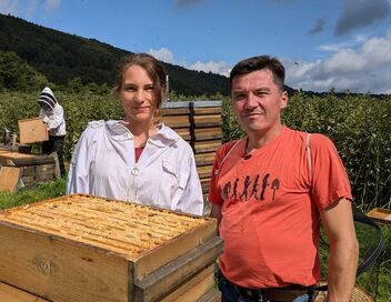 Europe : haro sur le faux miel importé !