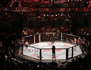UFC Fight Night