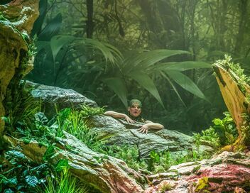 Jean-Philippe Rameau : Platée, Théâtre national de Prague