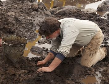 Le mystère d'Oak Island : la course au trésor