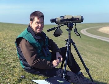 Mer du Nord, le retour des oies sauvages