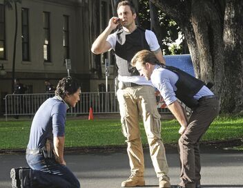 Hawaii 5-0
