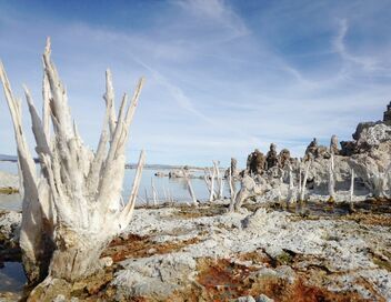 La valse des continents