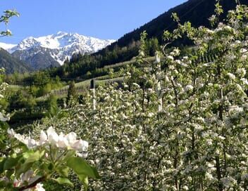 Le Tyrol du Sud