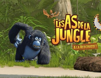 Les as de la jungle à la rescousse
