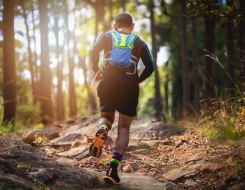 Trail : Ultra-Trail du Mont-Blanc