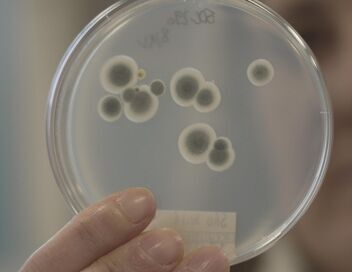Pollution intérieure, la menace invisible