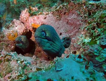 Les 100 lieux qu'il faut voir