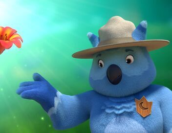 Les mini-héros de la forêt