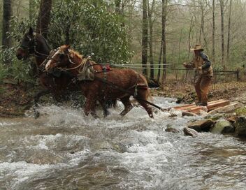 Seuls face à l'Alaska