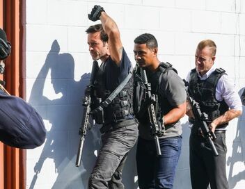 Hawaii 5-0