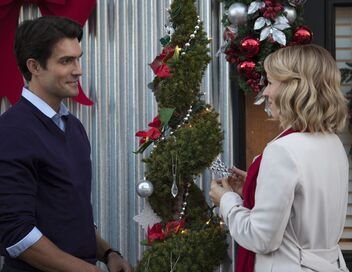 Noël avec un inconnu