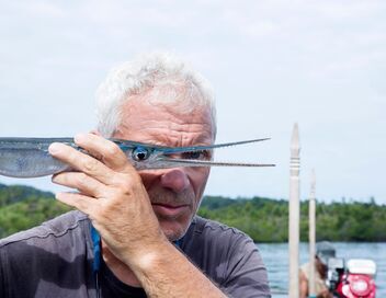 River Monsters