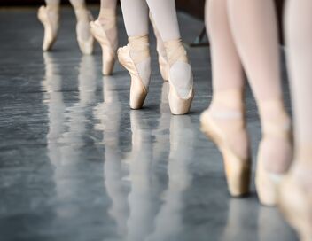 La mégère apprivoisée