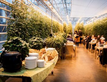 En Islande, le boom de légumes