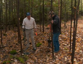 Le mystère d'Oak Island : la course au trésor